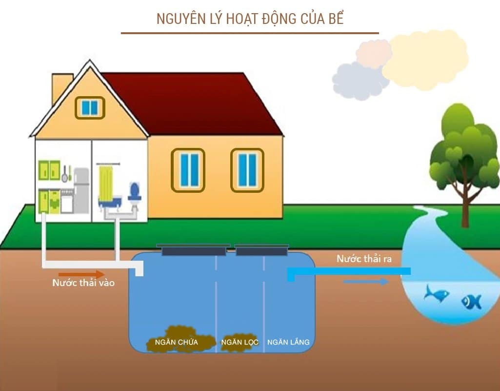 Nguyên lý hoạt động của bể