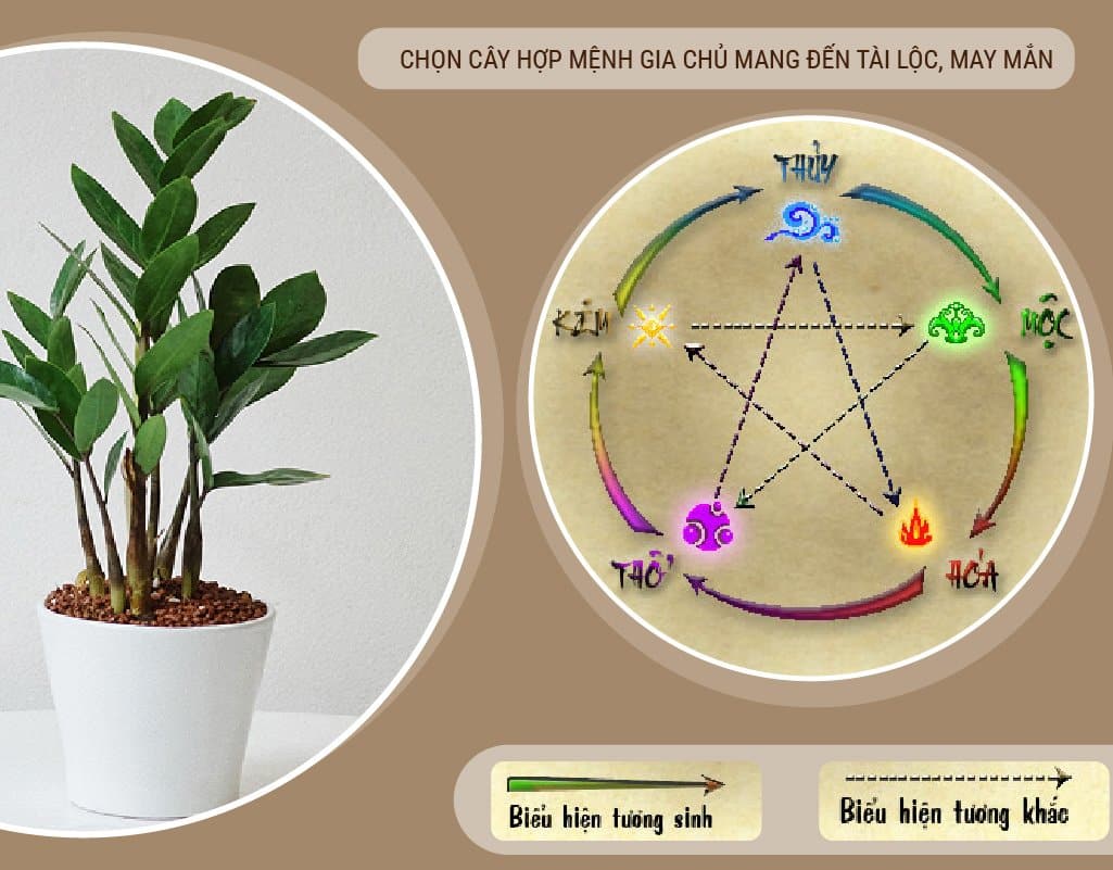 Nên chọn loại cây trồng hợp mệnh để mang lại nhiều điều tốt lành