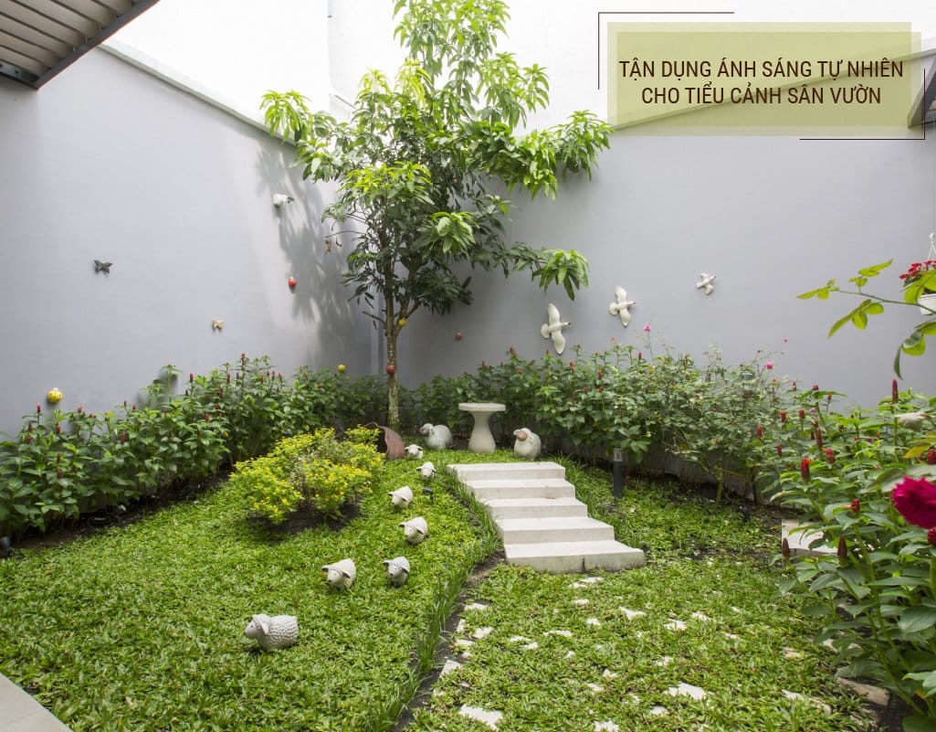 Phối hợp màu sắc hài hoà và tận dụng ánh sáng tự nhiên