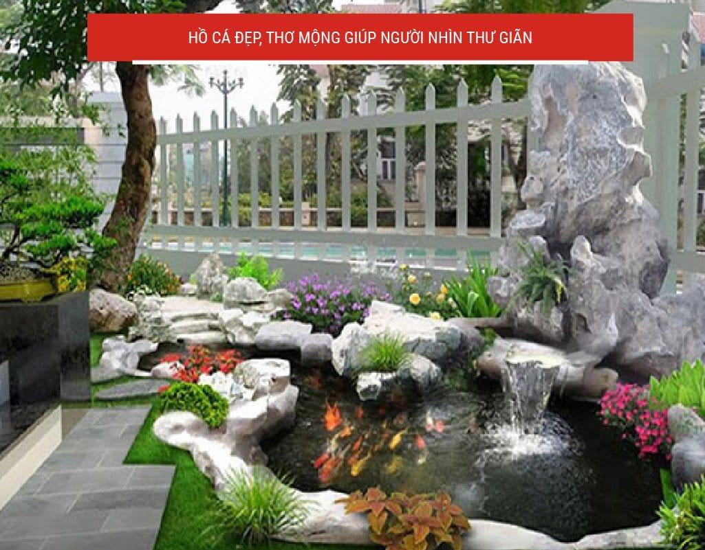 Thiết kế hồ cá xanh mát, đẹp mắt