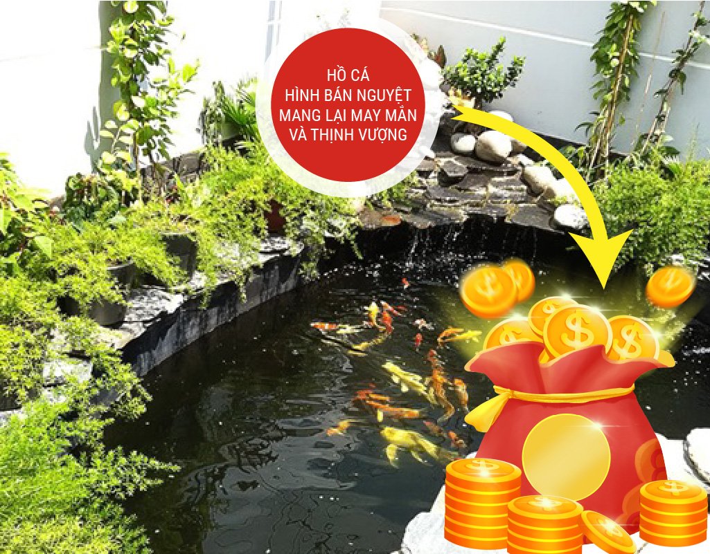 Mẫu hồ cá phổ biến nhất hiện nay